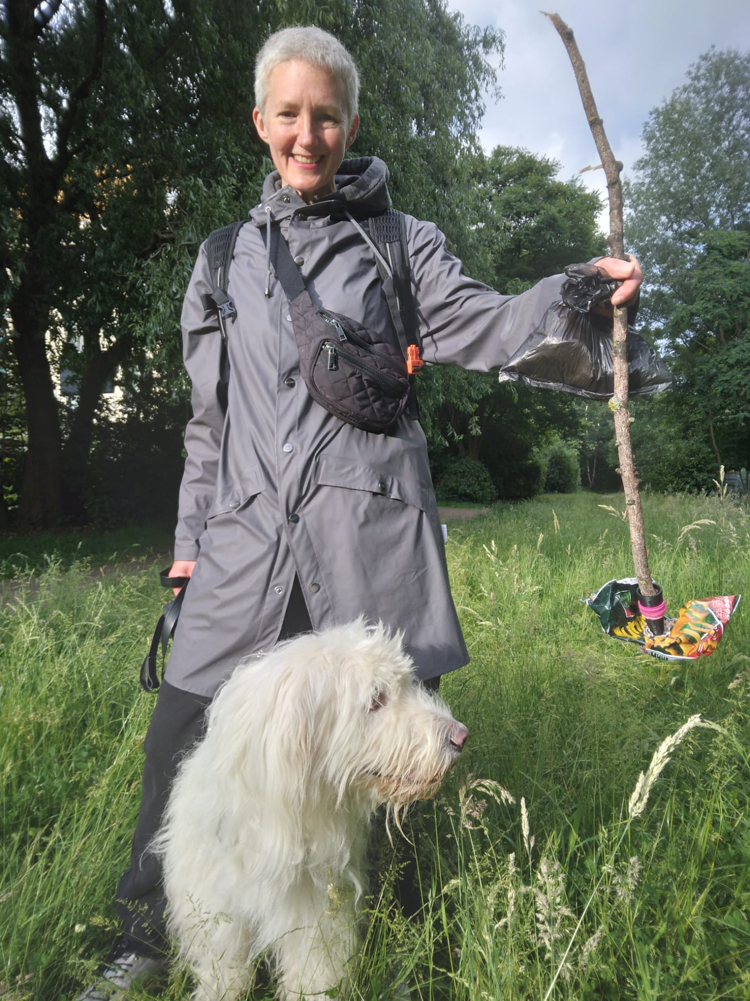 Hund der auf den Müll achtet